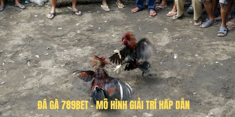 Đá Gà 789BET – Mô Hình Giải Trí Hấp Dẫn Hàng Đầu Thị Trường